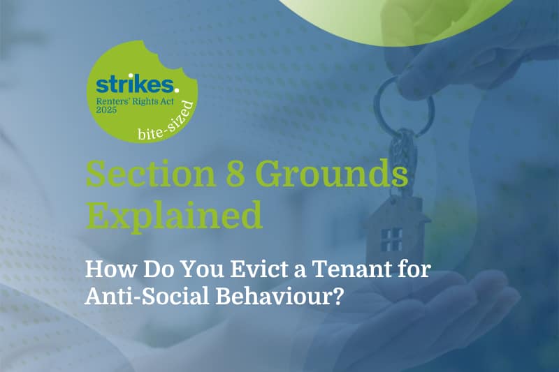 Cover image for a guide: 'Section 8 Grounds Explained' with a 'strikes' bite-sized logo and a hand holding a house key in blue-green tones.